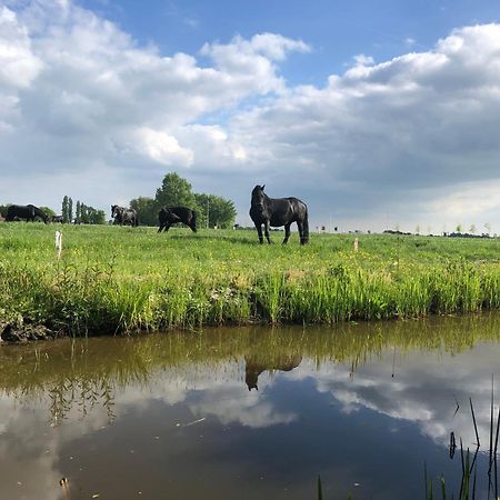 Vakantiehuis In Friesland Voor De Hele Familie Huns Exterior photo